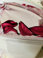 3D Floating Acrylic 5PC Motion Bathroom Vanity Accessory Set Red Rose Pedals - FREE SHIPPING!