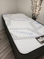 Queen Classic Mattress (mattress & box spring)