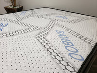 Queen Pillow Top Mattress (mattress & boxspring)